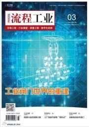 湛江吹響沖鋒號 中科煉化點火成功 巴斯夫打樁開建 現場圖集來襲